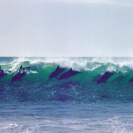 Diaz 15 House On The Bay Hotel Jeffreys Bay Bagian luar foto