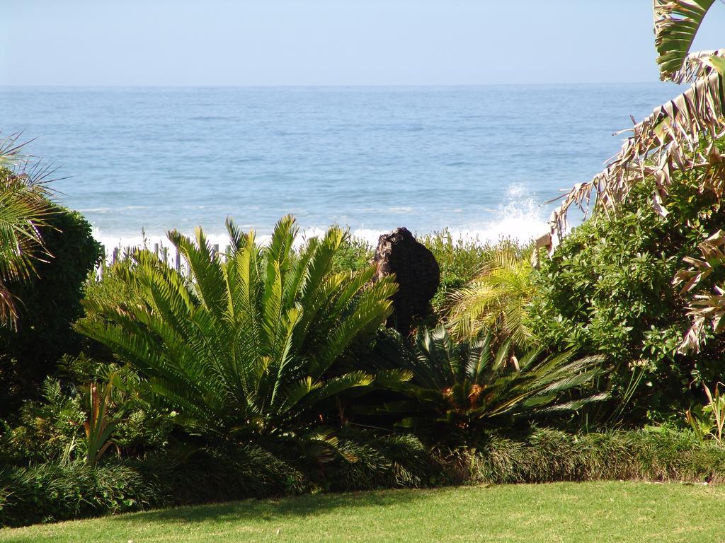 Diaz 15 House On The Bay Hotel Jeffreys Bay Bagian luar foto